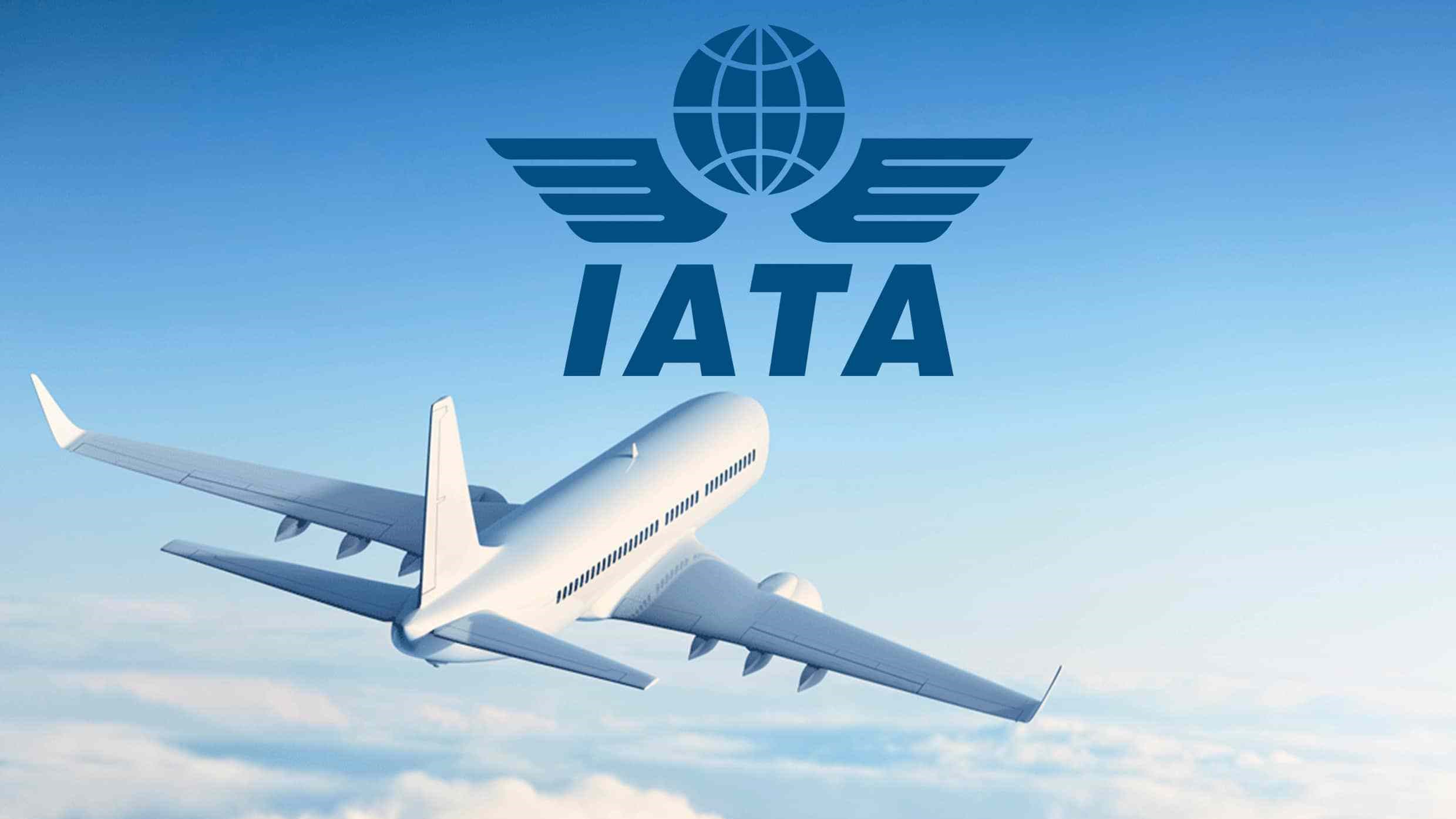 IATA – Cầu Nối Toàn Cầu Của Ngành Vận Tải Hàng Không
