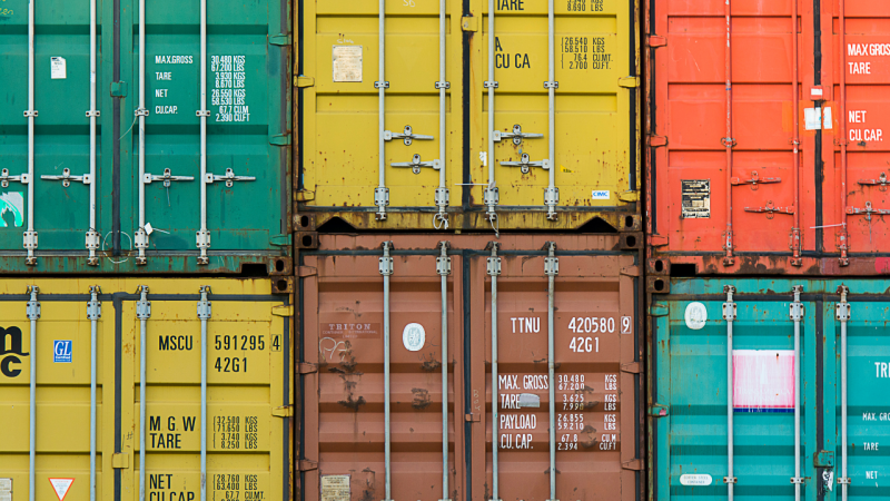 Hun trùng hàng hoá là gì? Cùng VietPhil Cargo tìm hiểu chi tiết
